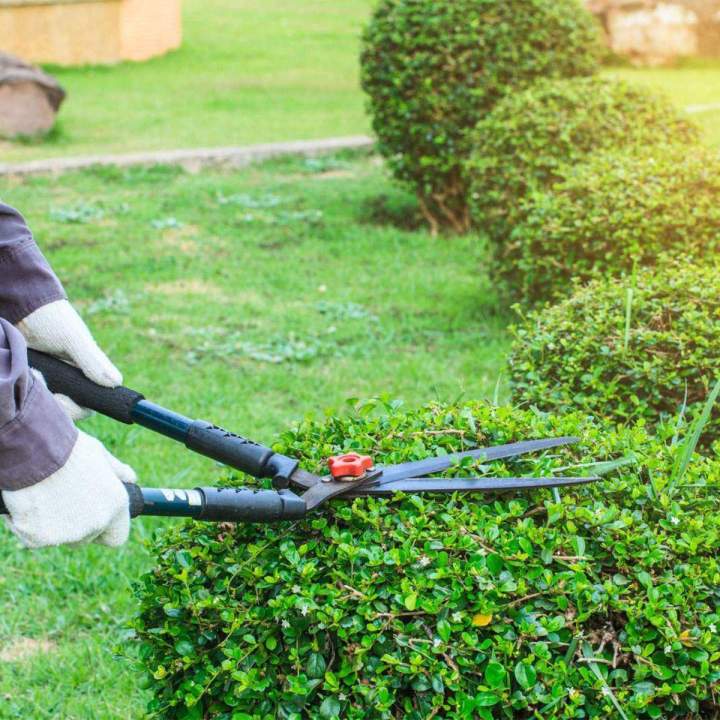 Travaux de jardinage pour embellir vos espaces extérieurs.