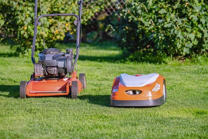 Tonte de pelouse Martinique